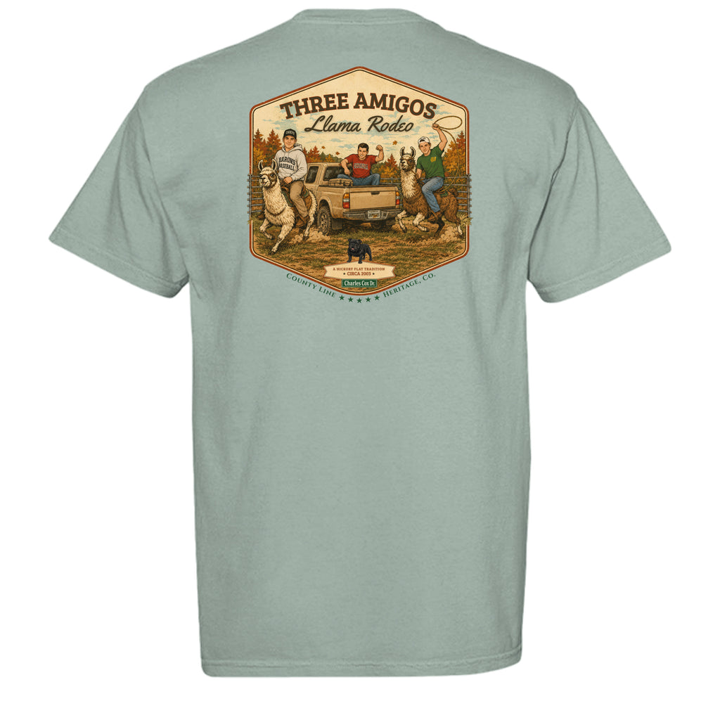 BAY - C1717 - BACK