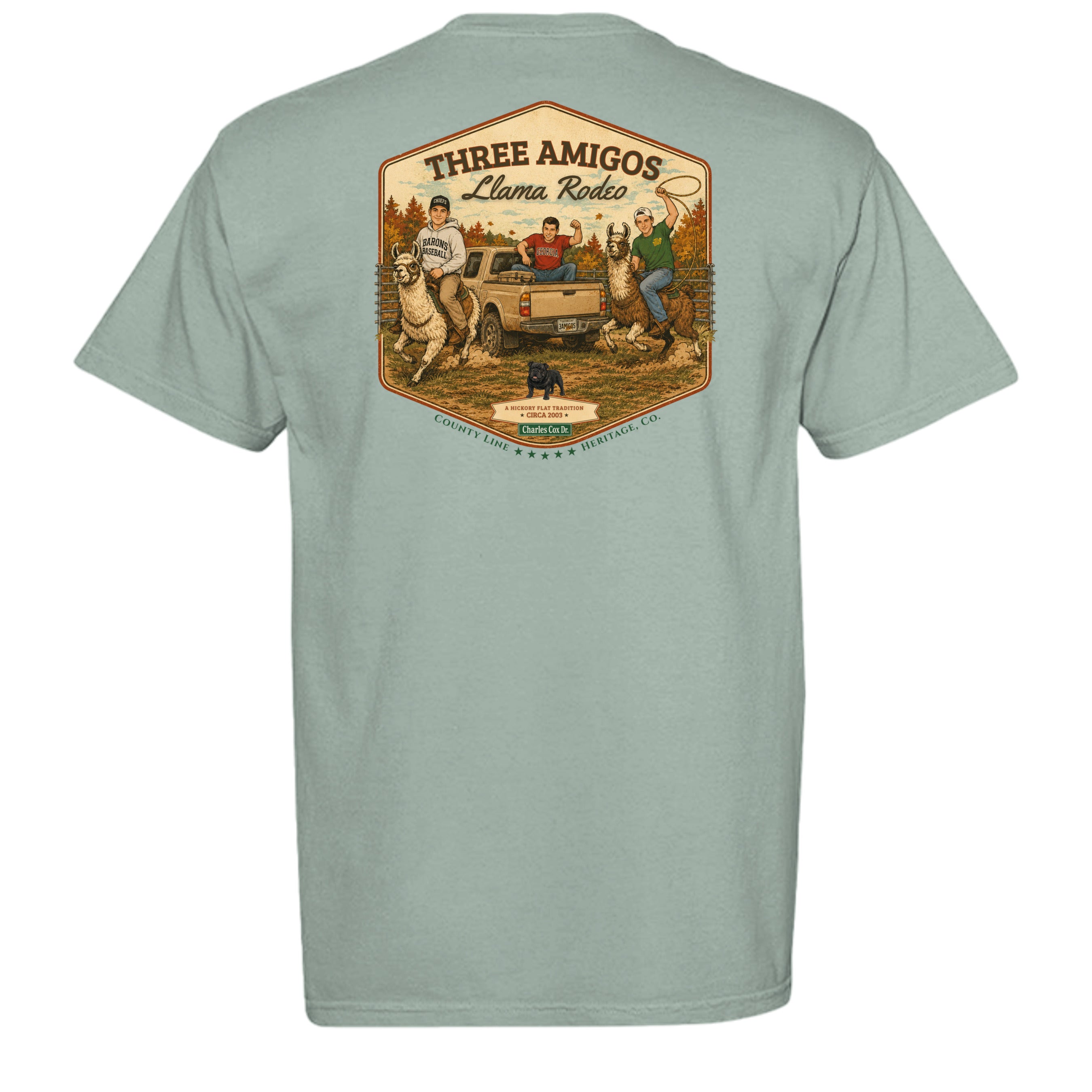 BAY - C1717 - BACK